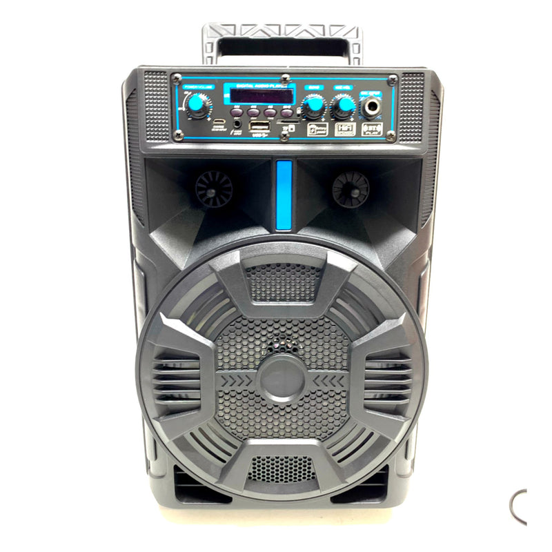 Cassa Karaoke 5000W